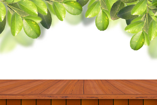 Prázdný dřevěný stůl se zelenými listy na bílém pozadí pro reklamu na výrobky. Produktový displej pro reklamu na sociálních médiích, jarní a letní koncept - Fotografie, Obrázek