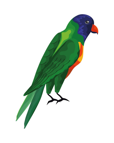 parrot exotic bird - Vector, Imagen