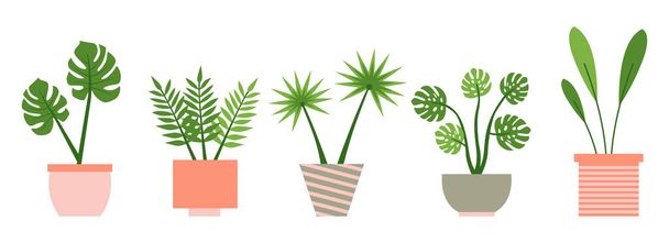 Palm, sansevieria, monstera, fern, flower flat set - Vector, Imagen