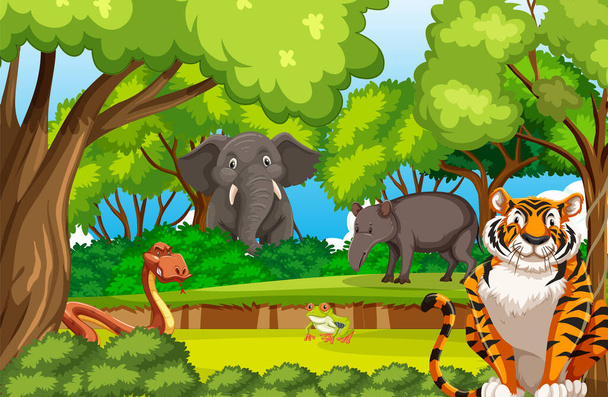 Δασική σκηνή με διάφορα άγρια ζώα εικονογράφηση - Διάνυσμα, εικόνα