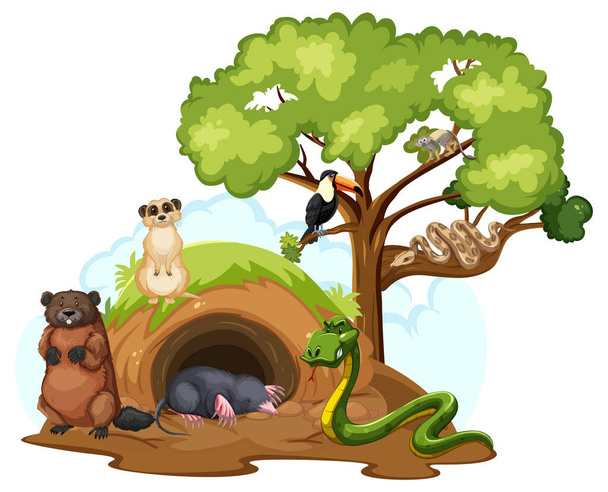 Verschiedene Wildtiere mit Höhle auf weißem Hintergrund Illustration - Vektor, Bild