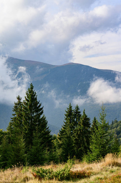 Landscapes of the Ukrainian Carpathians, a trip to the mountain ranges in Ukraine, the horizon is covered with clouds. - Photo, image