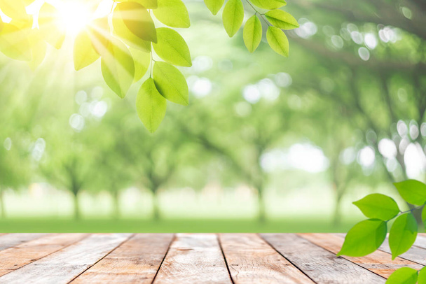 ぼかし公園と緑の自然のコピースペースの空の古い木のテーブルの抽象的な背景に太陽の光とボケの葉。新鮮な自然界での製品プレゼンテーション。生態環境と自然概念. - 写真・画像