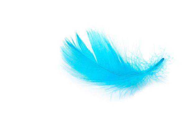 Beautiful blue feather on white background - Photo, Image