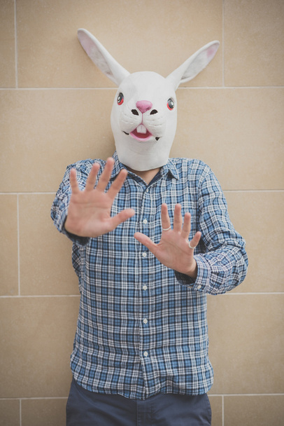 máscara de conejo hombre absurdo
 - Foto, Imagen