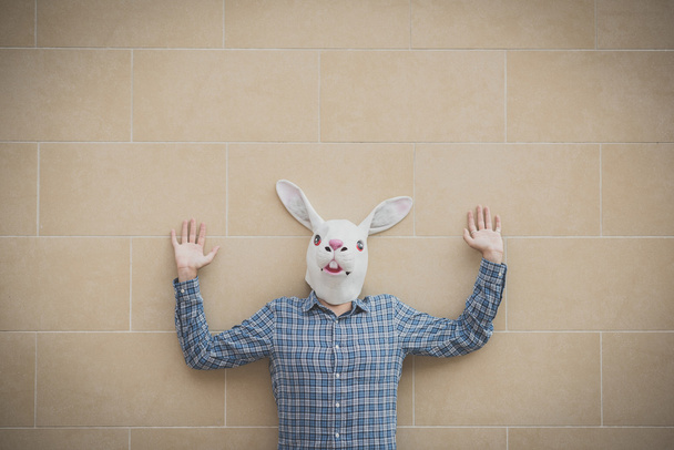 królik maska mężczyzna absurdalne - Zdjęcie, obraz