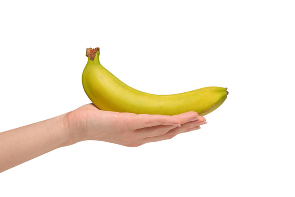 Ένα μάτσο μπανάνες στο χέρι γυναίκα απομονώνονται σε λευκό φόντο. - Φωτογραφία, εικόνα
