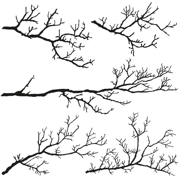 Tree branches without leaves. Black silhouettes on a white background. - Vektor, obrázek