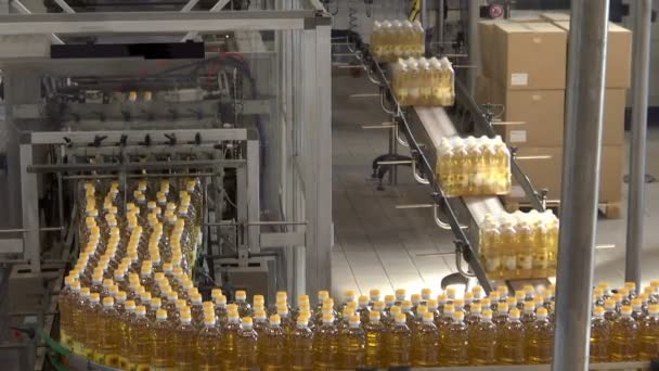 Huile de tournesol raffinée sur la chaîne de production ; Usine pour la production d'huile de tournesol raffinée, une chaîne de production - Séquence, vidéo