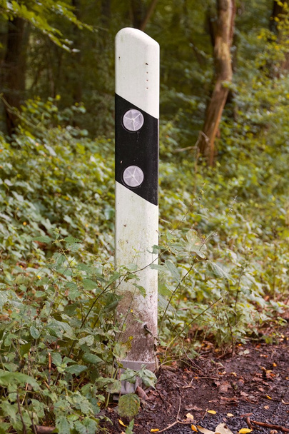 Saksan tierajapilari metsän reunalla
 - Valokuva, kuva