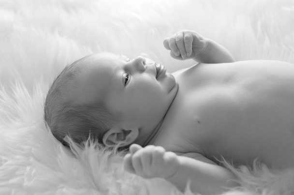 Baby on white furs (monochrome) - 写真・画像