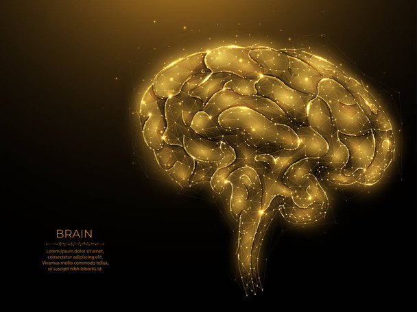 Illustrazione vettoriale del cervello umano poligonale su sfondo scuro. Il concetto di intelligenza artificiale. Cerebrum design a basso poli. banner o modello di neurologia - Vettoriali, immagini