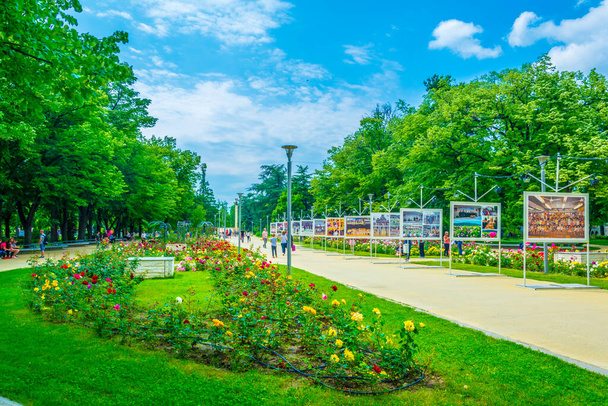 People are strolling through rose garden in Kazanlak, Bulgari - Fotó, kép