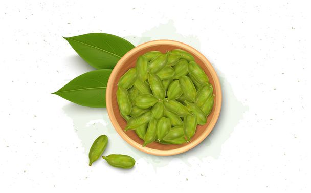 A Wooden bowl filled with Green cardamom pods vector illustration from top view with green leaves - Vector, Imagen