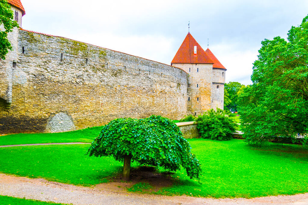 Detail of the medieval fortification in the Estonian capital Tallin - Фото, зображення
