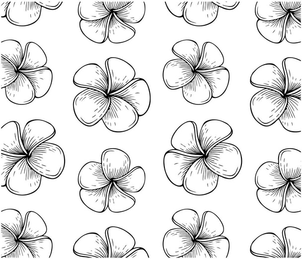 Outline drawing pattern of tropical plumeria flower isolated on white background. Sketch black and white exotic flowers wallpaper. Hand drawn Summer floral textile design. Spring vector illustration. - Vector, Imagen