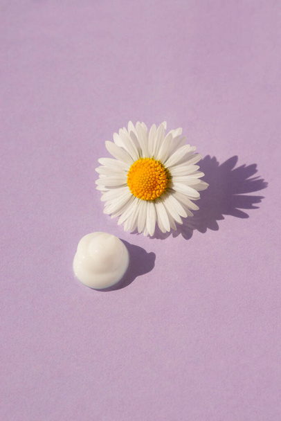 Chamomile bud with white petals with a drop of white cream isolated on lilac background. Flower in the center in sunlight with a beautiful shadow. Aromatherapy and herbal ingredients for cosmetics. - Photo, image
