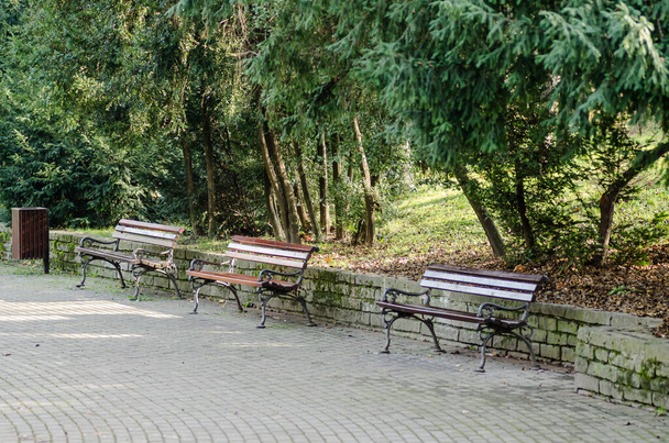 Novi Sad, Serbia - November 23, 2020: Wooden benches set up on the promenade in the National City Park in Novi Sad. - 写真・画像