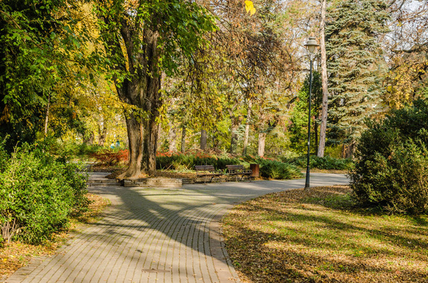 Novi Sad, Serbia - November 23, 2020: View of the promenade in the National City Park in Novi Sad. - Foto, imagen