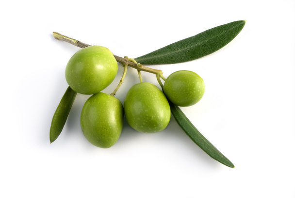 little branch of olives - Photo, Image