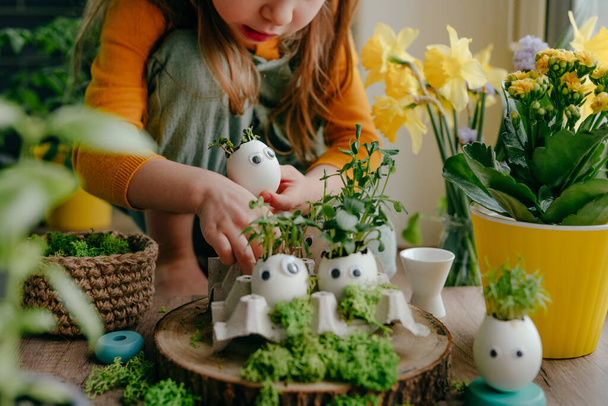 Little girl making composition from eggshells with sprouts decorated with toy stickers eyes on the wooden table at home. Creative fun DIY idea for festive Easter decoration. Selective focus. - Zdjęcie, obraz