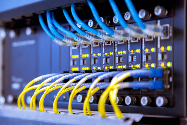 Мережевий комутатор та кабелі Ethernet, концепція Центру даних
. - Фото, зображення