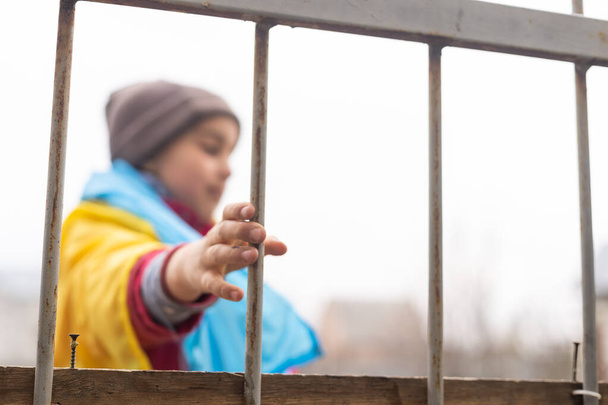 A little refugee girl with a sad look behind a metal fence. Social problem of refugees and internally displaced persons. Russias war against the Ukrainian people - Φωτογραφία, εικόνα