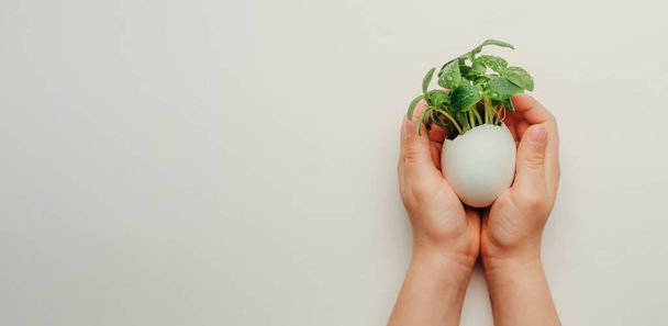 Kids hands holding eggshell with cucumber sprouts on the grey background with blank space for text. Creative fun DIY idea for festive Easter decoration. Top view, flat lay. - Photo, image