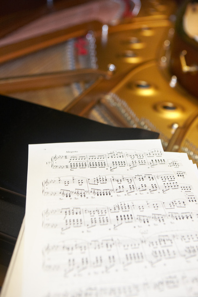 Κλασική μουσική επένδυση Chopin με πιάνο και φόντο - Φωτογραφία, εικόνα