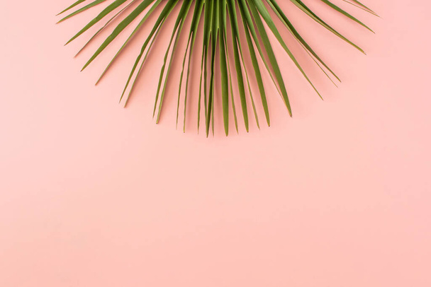 Green palm leaf on pastel pink background. Minimal summer or spring concept. Pink aesthetic. Flat lay, copy space. - Фото, зображення