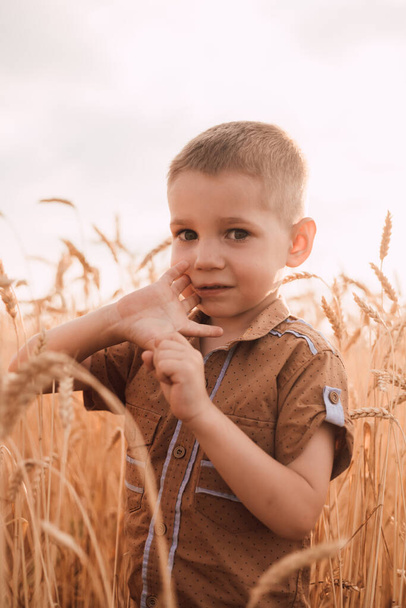 Pieni poika seisoo pellolla vehnässä ja katsoo pois. - Valokuva, kuva