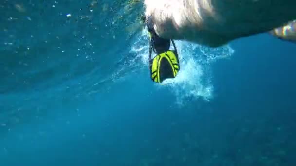 A guy in a mask and fins snorkels in the ocean. - Filmagem, Vídeo