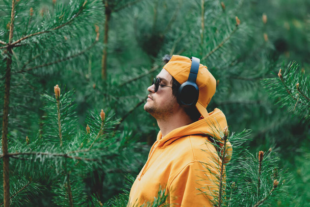 Stylish man in hoodie listen music in headphones in pine tree forest - Foto, afbeelding
