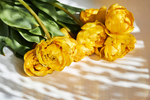Bunch of beautiful yellow Double Peony Tulip on a white background with natural lights and shadows - Foto, imagen