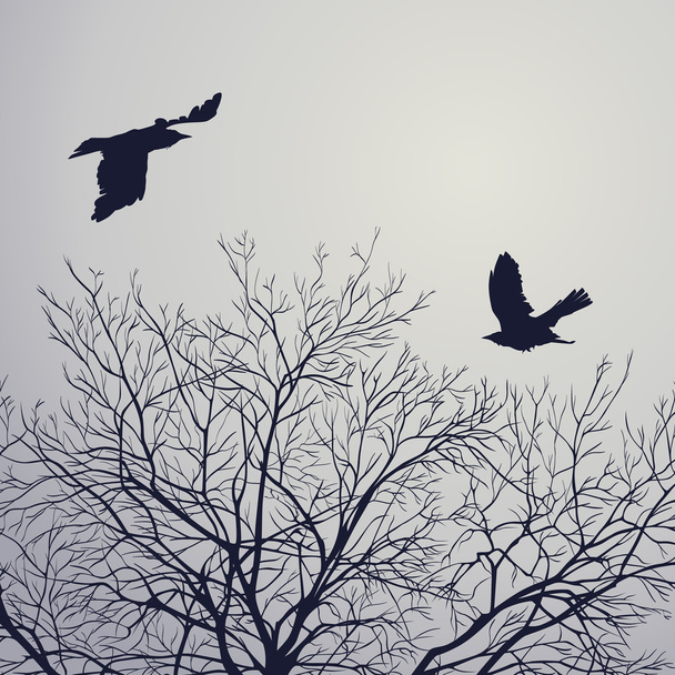Cuervos - Vector, imagen