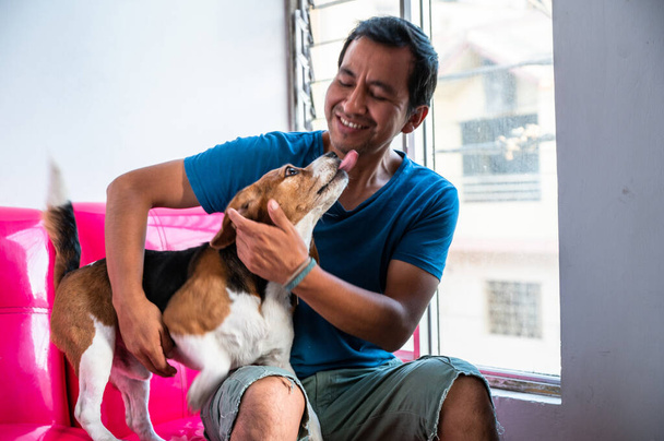 Un hombre acariciando a su perro beagle, mascota concepto de amor amigable. - Foto, Imagen