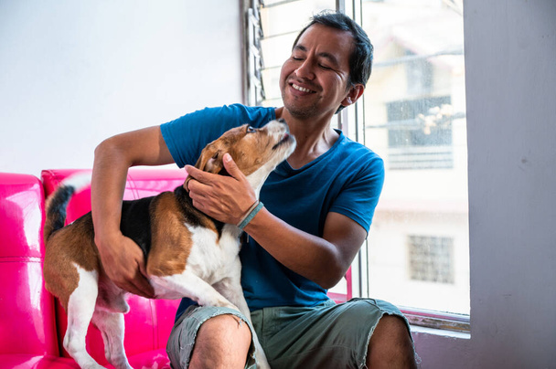 A man petting his dog beagle, pet friendly love concept. - Fotó, kép