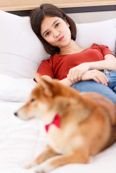 Little cute piękne inteligentne brązowy Shiba Inu pies sobie czerwony muszka leżące na bok strzegąc młody Azjatycki właściciel dziewczyna w casual strój leżąc na łóżku śpi w sypialni w rozmytym tle. - Zdjęcie, obraz