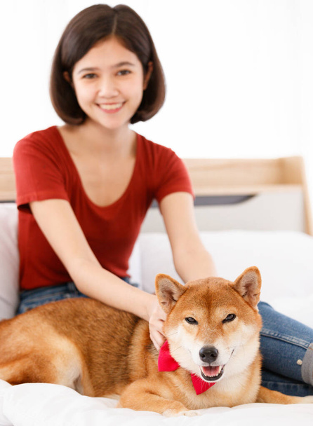Πορτρέτο πλάνο του μικρού χαριτωμένο έξυπνο καφέ Shiba Inu σκυλί φορώντας κόκκινο παπιγιόν κάθεται στο κρεβάτι στο υπνοδωμάτιο εξετάσουμε κάμερα με ασιατική γυναίκα ιδιοκτήτη χαμογελώντας αγκαλιά αγκαλιά μαζί σε θολή φόντο. - Φωτογραφία, εικόνα