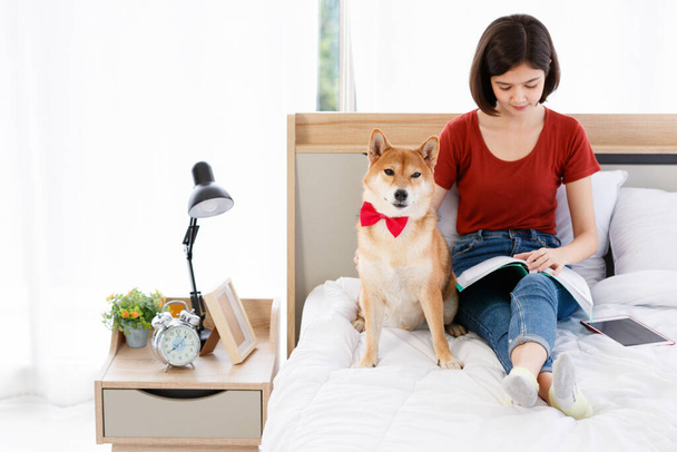 Little cute piękny inteligentny brązowy japoński Shiba Inu pies sobie czerwony muszka siedzi na łóżku wraz z azjatycką młodą właścicielką dziewczyna leżąc na poduszce czytania książki i tabletki w sypialni. - Zdjęcie, obraz