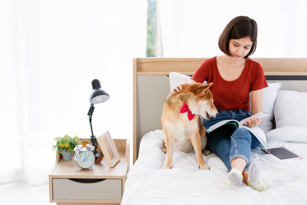 Little cute beautiful smart brown Japanese Shiba Inu dog wearing red bowtie sitting on bed together with Asian young female girl owner laying down leaning on pillow reading book and tablet in bedroom. - Photo, image
