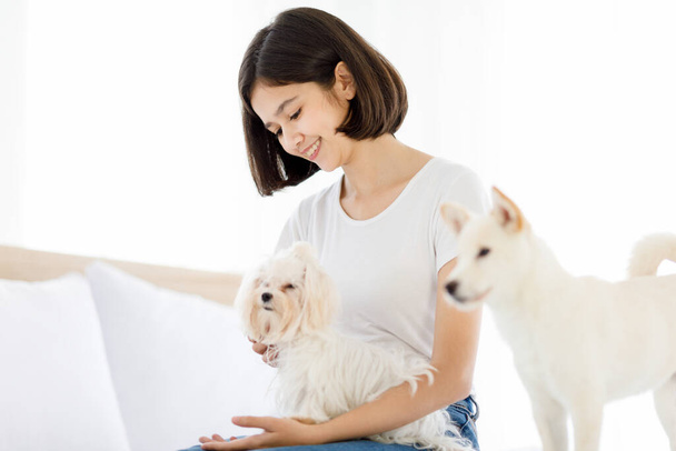 Asian young happy teenager short hair female model sitting smiling on bed in bedroom holding hugging long fur Maltese dog pet on lap while little white Shiba Inu puppy standing in blurred foreground. - Photo, image