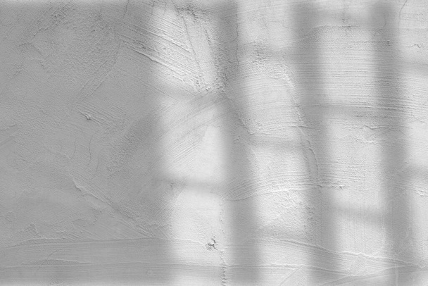 light and shadow concept on gray cement floor - Zdjęcie, obraz