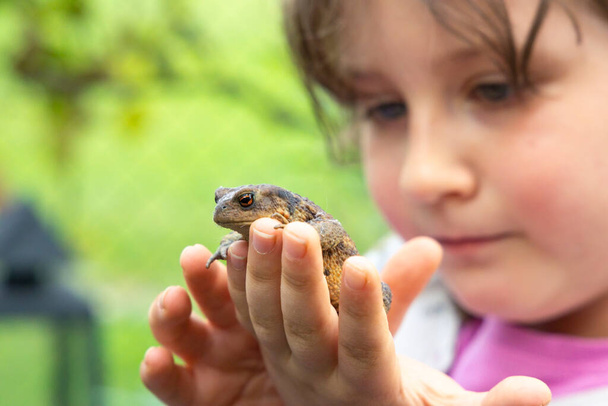 Ein kleines Mädchen freut sich über eine Kröte in seiner Hand - Foto, Bild