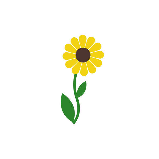 Sunflower flower isolated on white background - Photo, Image