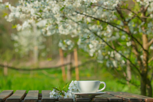 Cup on a table next to blooming tree in a spring garden - Photo, Image