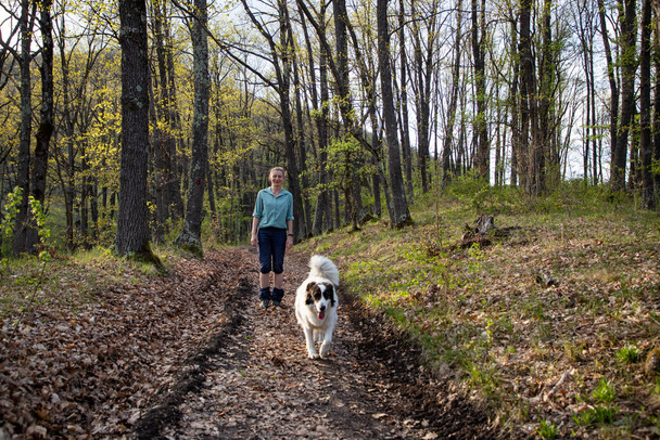 woman trekking in forest with dog - Zdjęcie, obraz