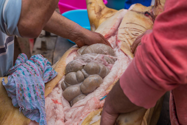 ПАРЕДЕС-ДЕ-КУРА, ПОРТУГАЛЬ: Мясник убил свинью для старой традиционной церемонии на севере Португалии - Фото, изображение