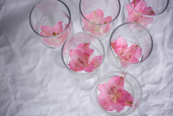 Delicato piccolo fiore rosa in un calice di vetro come decorazione su sfondo bianco - Foto, immagini