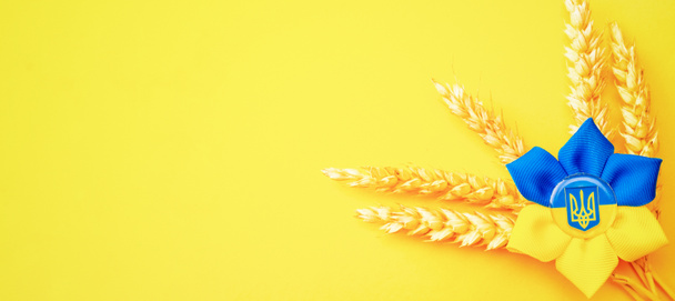 Modré žluté pozadí. Ukrajinský symbol trojzubce s pšeničným uchem izolovaným na žluté. Láska Ukrajina koncept - Fotografie, Obrázek